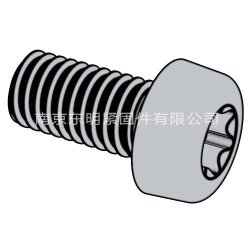 GB/ T 2672 - 2017 内六角花形盘头螺钉